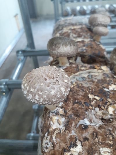 김선영님의 프로필