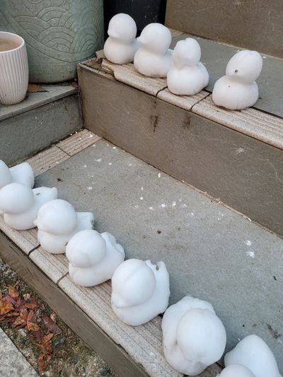 테스트53님의 프로필