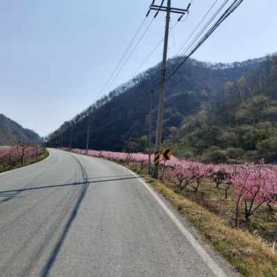 김덕호님의 프로필