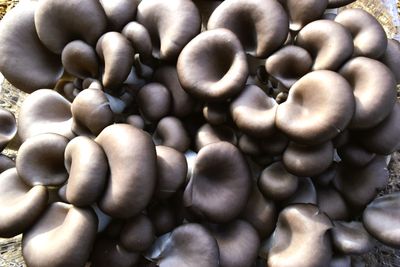 전순연님의 프로필