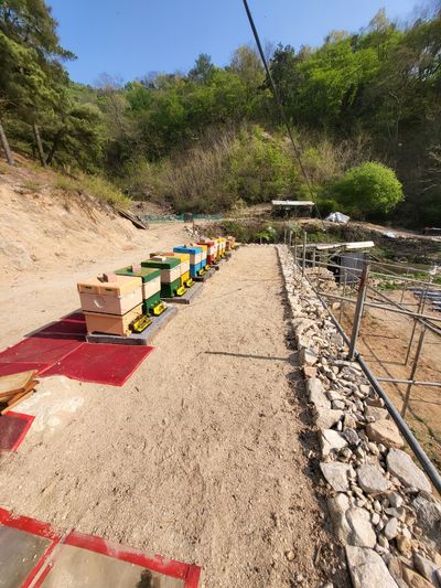 최순애님의 프로필