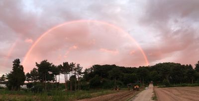 신승균님의 프로필