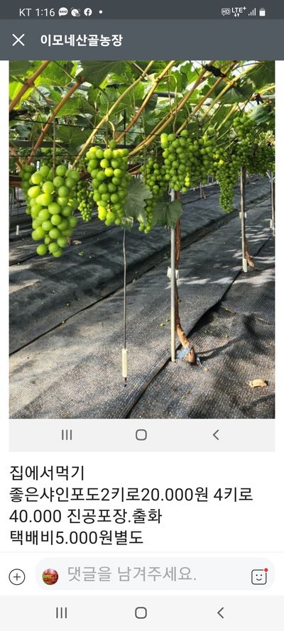 여송님의 프로필