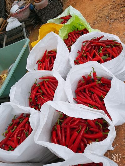 김영선님의 프로필