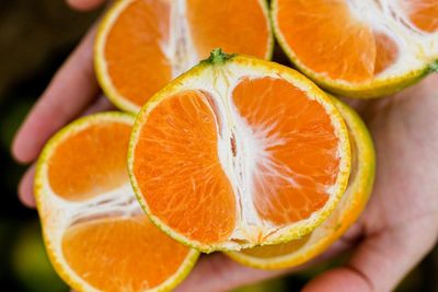 김진님의 프로필