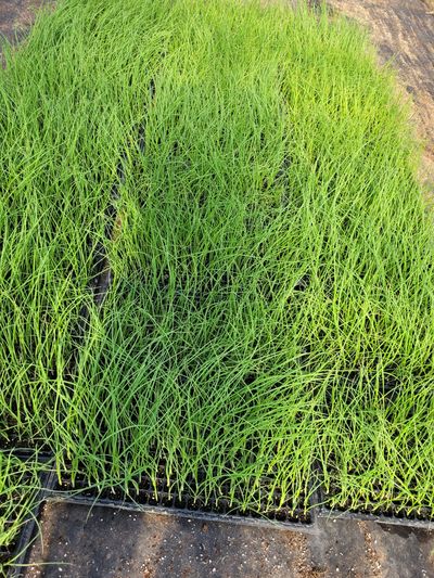 김삼녀님의 프로필