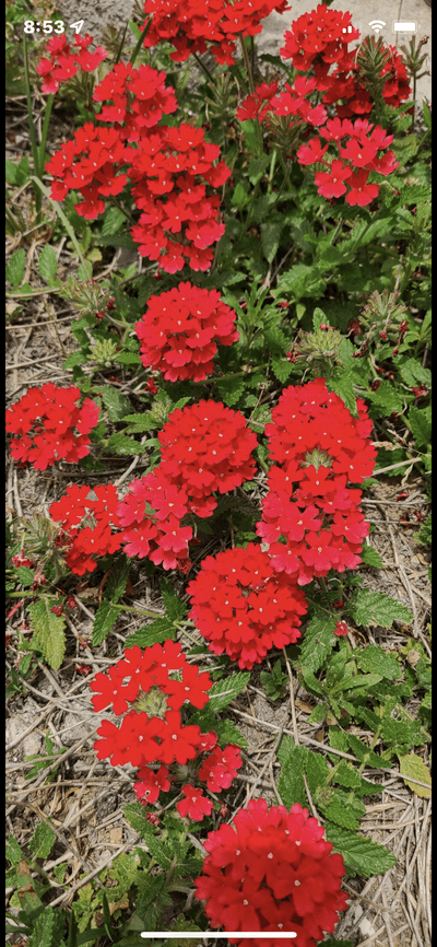 조달종님의 프로필