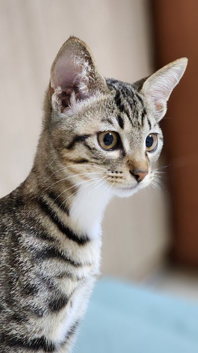 수원콩돌맘27905님의 프로필