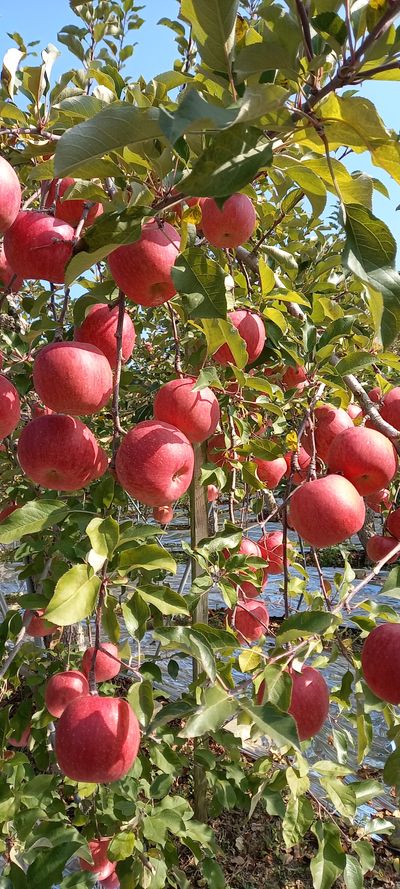 강성분님의 프로필