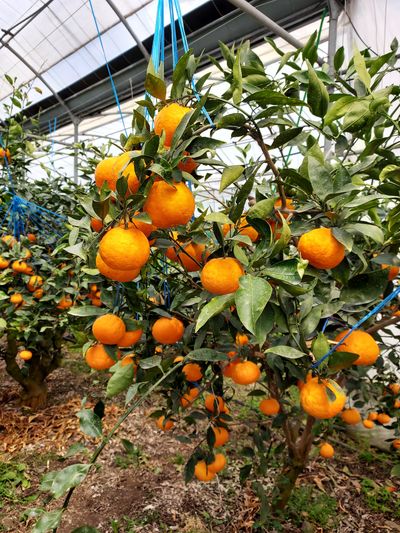 김경희님의 프로필