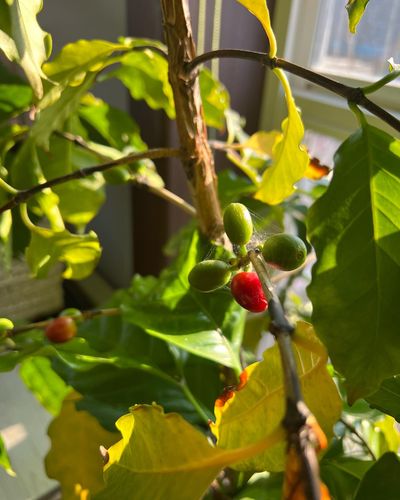 강한영님의 프로필