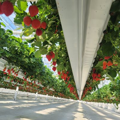 박서영님의 프로필