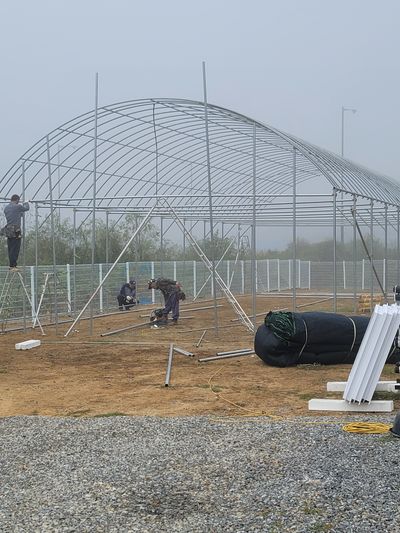 김진홍님의 프로필
