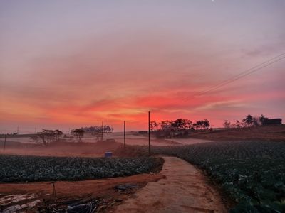 이현식 님의 프로필
