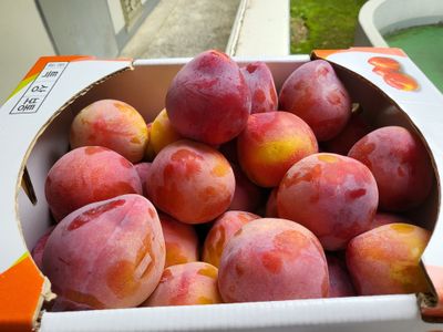 이호섭님의 프로필