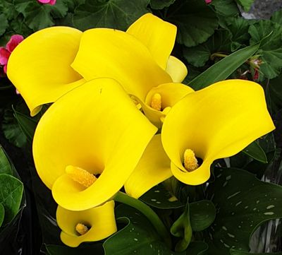 황영출님의 프로필