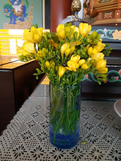 호박댁님의 프로필