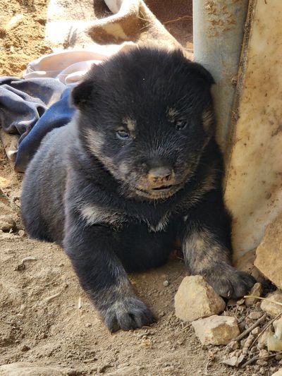 장석철님의 프로필