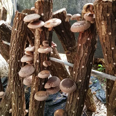 김동녀님의 프로필