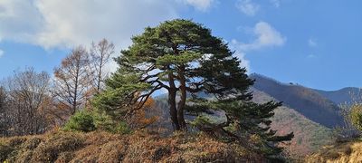 임경주 님의 프로필