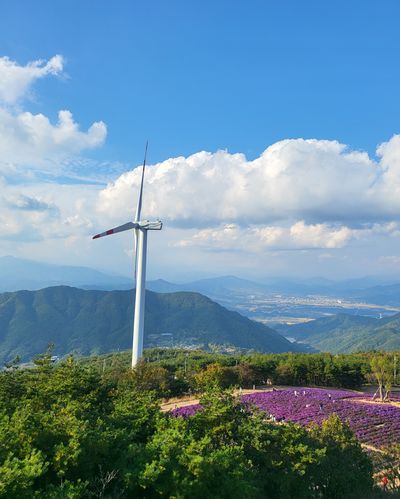 양홍모님의 프로필