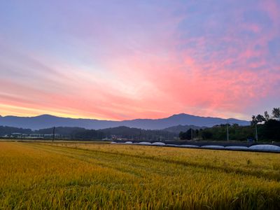 박동주님의 프로필