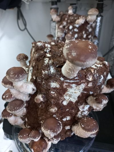 취미가농사님의 프로필