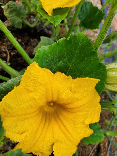 김인진님의 프로필