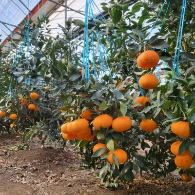 김영아님의 프로필