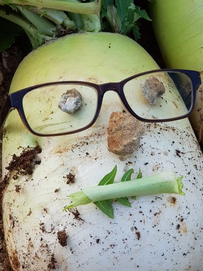 홍길동님의 프로필