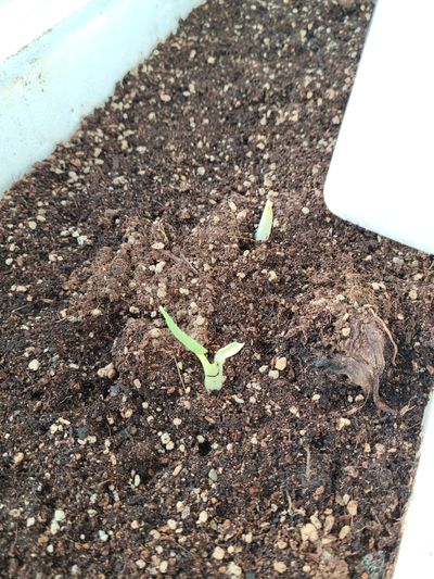 손희님의 프로필