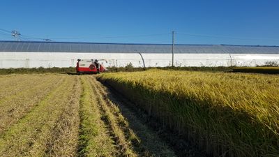 최종만70님의 프로필