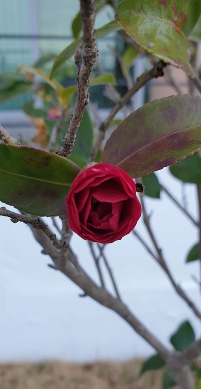 young님의 프로필