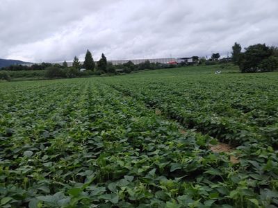 .하루를 즐겁게.님의 프로필