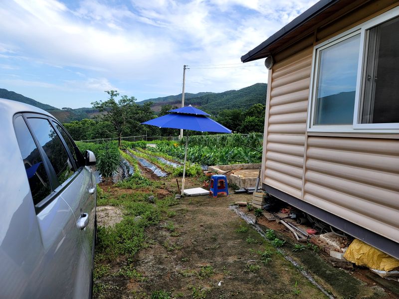 '농약 후기' 첨부 사진