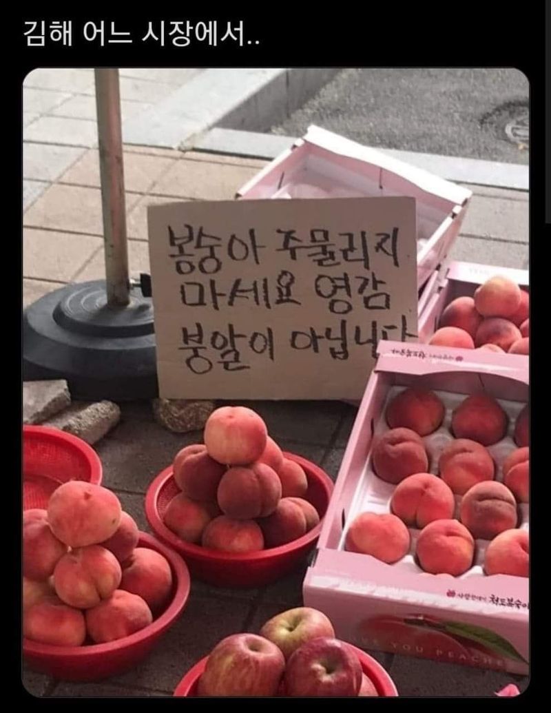 '농약 후기' 첨부 사진