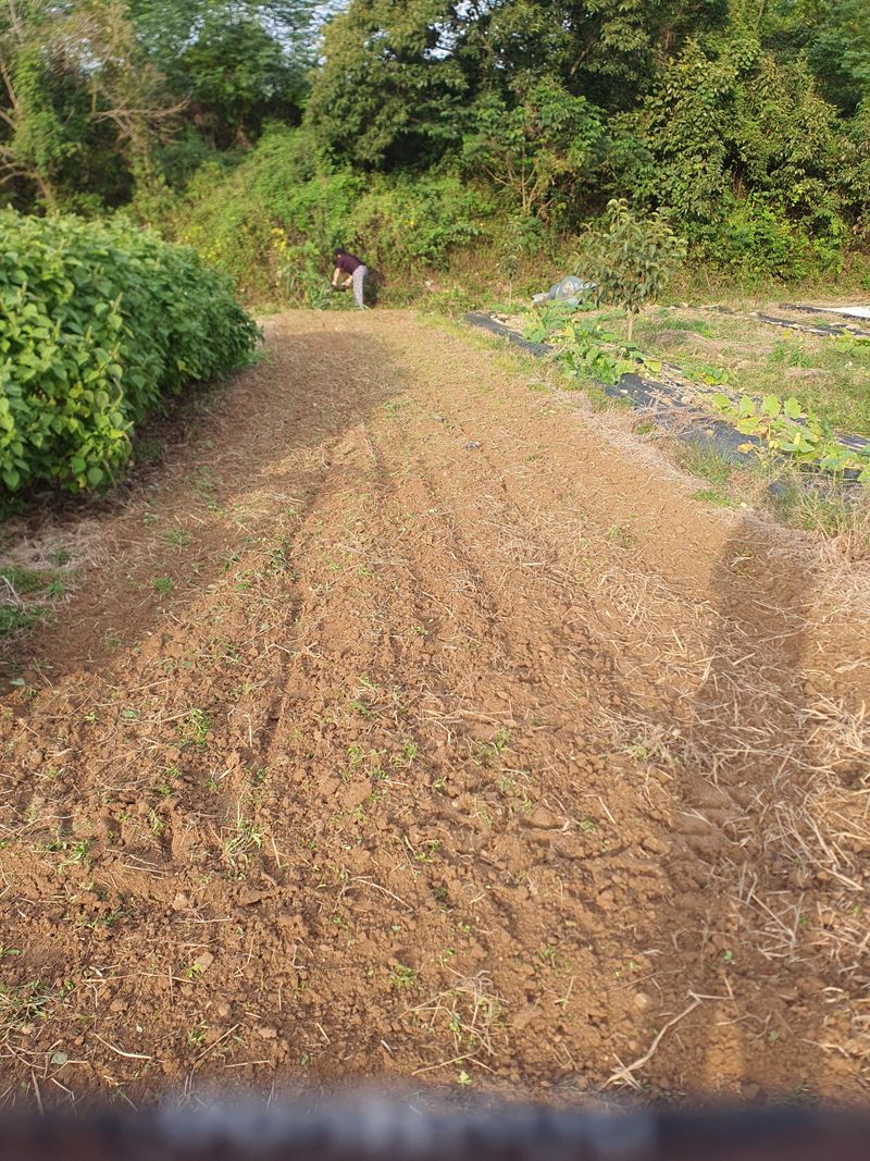 '농약 후기' 첨부 사진