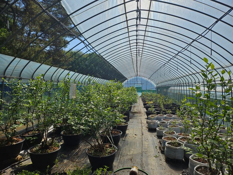 '농약 후기' 첨부 사진