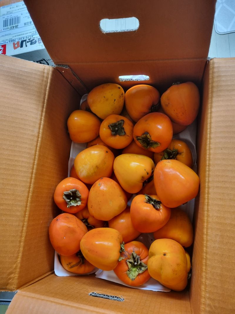 송종원님의 장터 구매 후기 썸네일