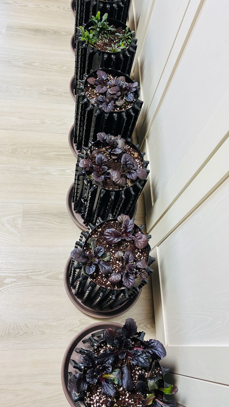 김동규님의 장터 구매 후기 썸네일