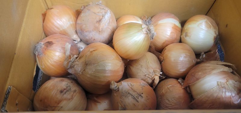 이근경님의 장터 구매 후기 썸네일