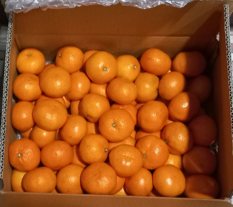 문순님의 장터 구매 후기 썸네일