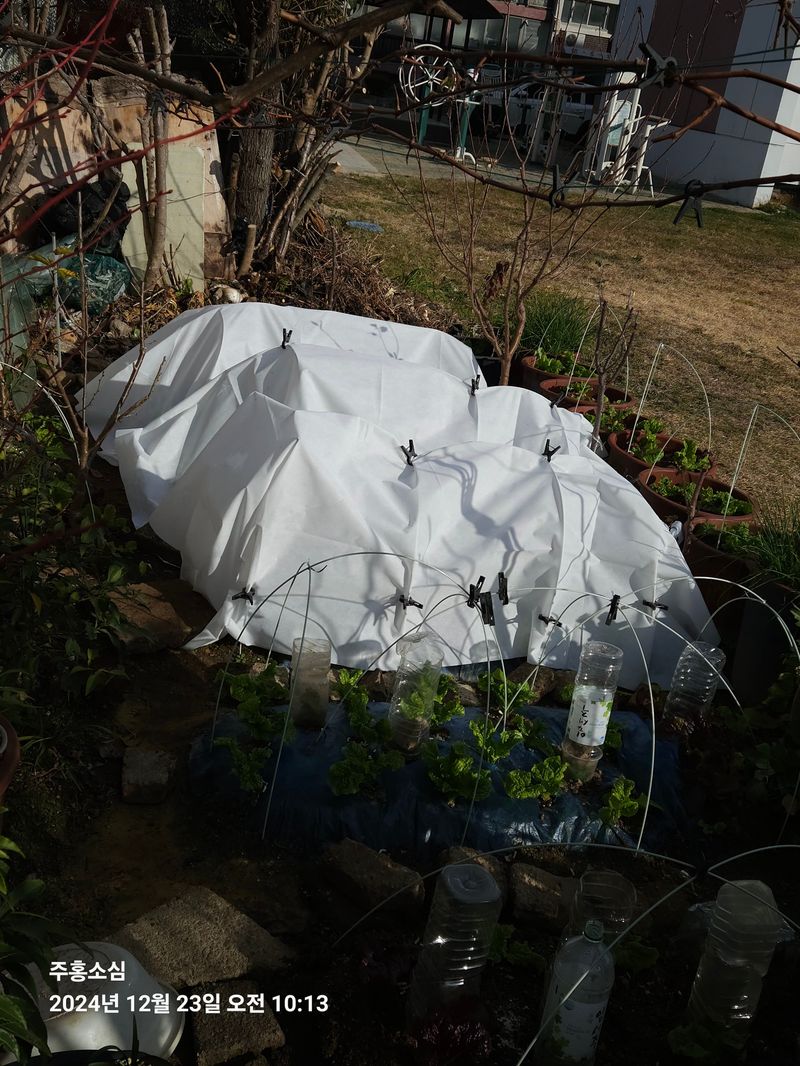 이용헌님의 장터 구매 후기 썸네일