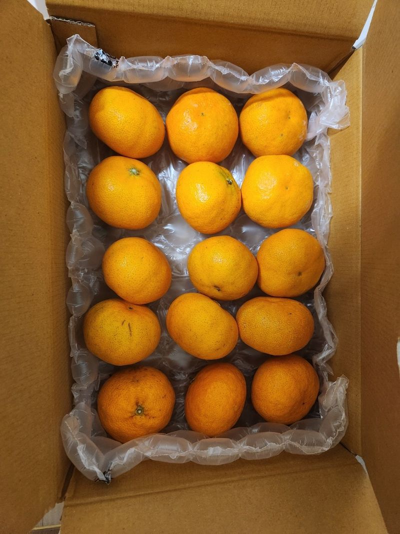 하동 산골 아지매님의 장터 구매 후기 썸네일