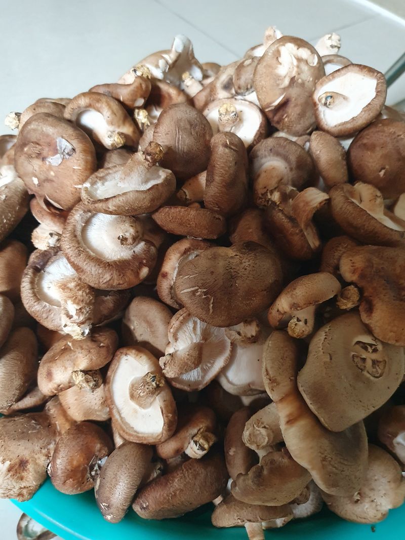 한상동님의 장터 구매 후기 썸네일