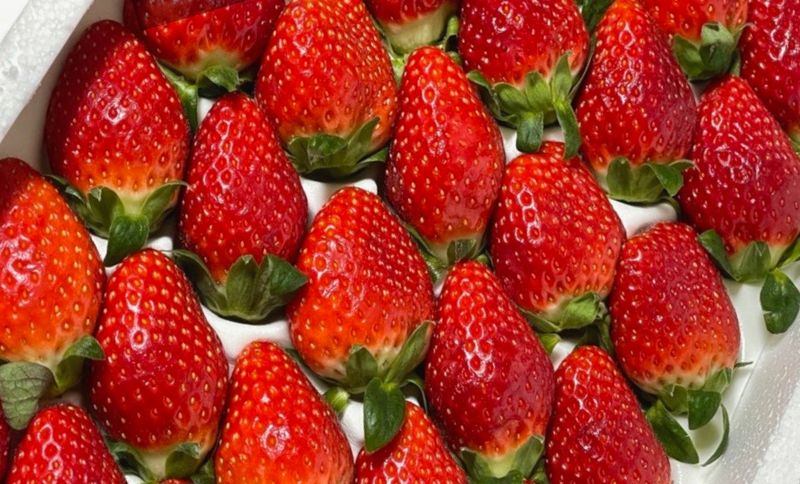 하태명님의 장터 구매 후기 썸네일