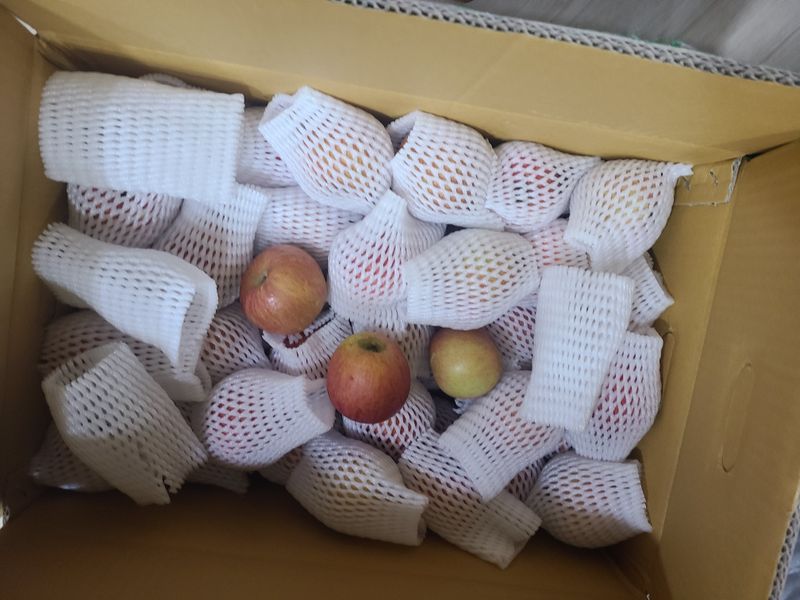 김성원님의 장터 구매 후기 썸네일