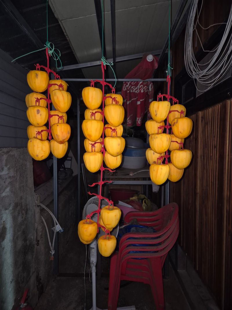 정영진 님의 장터 구매 후기 썸네일