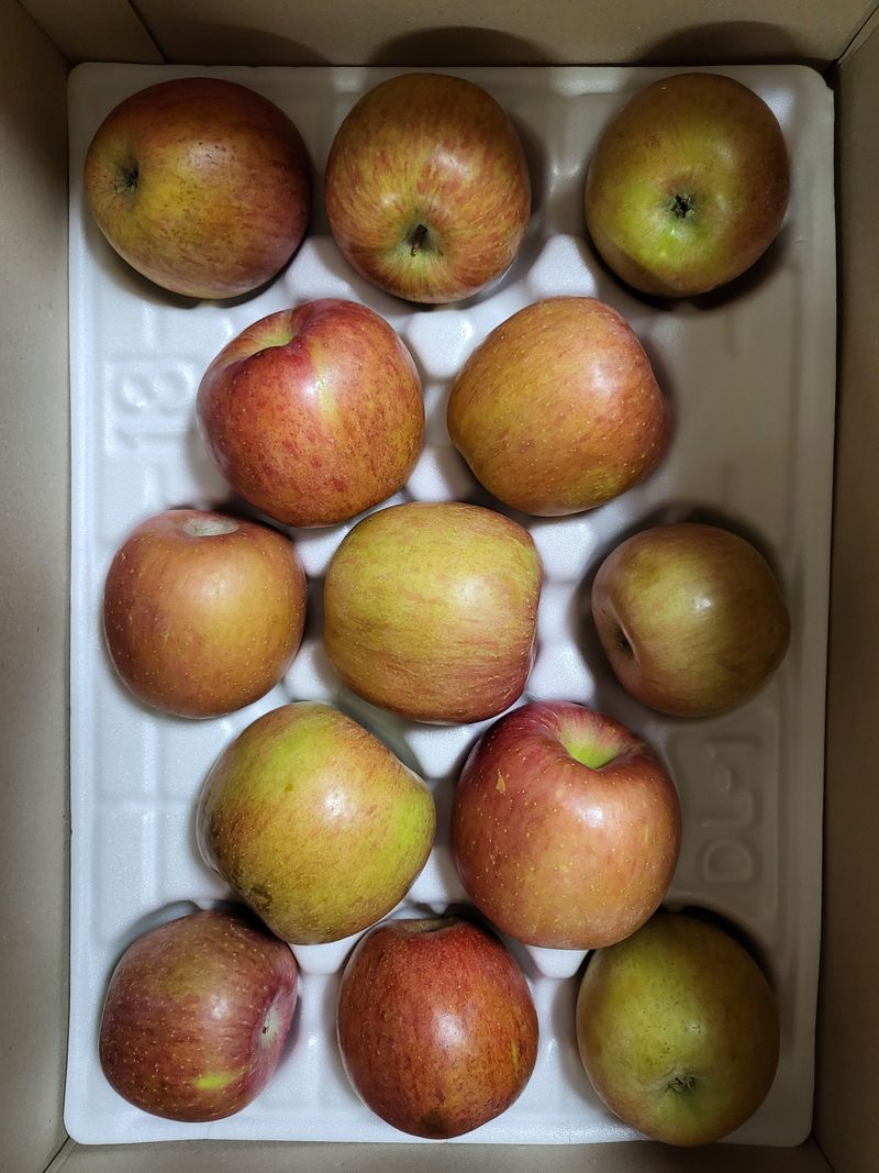 박순례님의 장터 구매 후기 썸네일