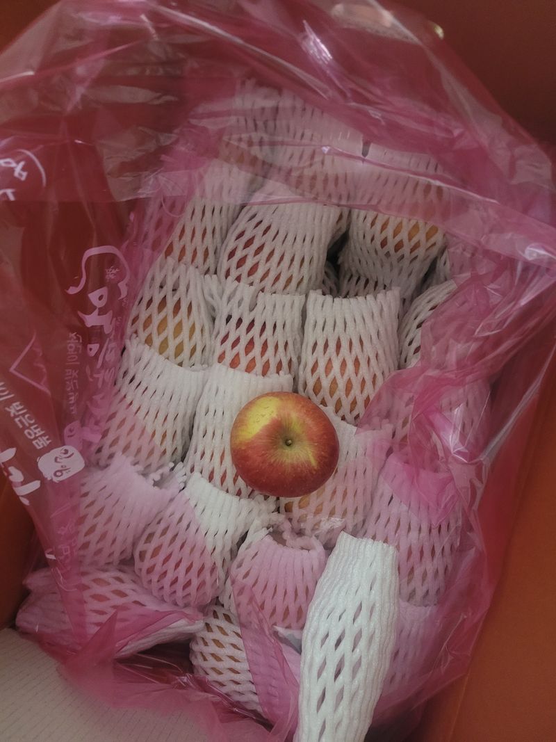 강혜영님의 장터 구매 후기 썸네일